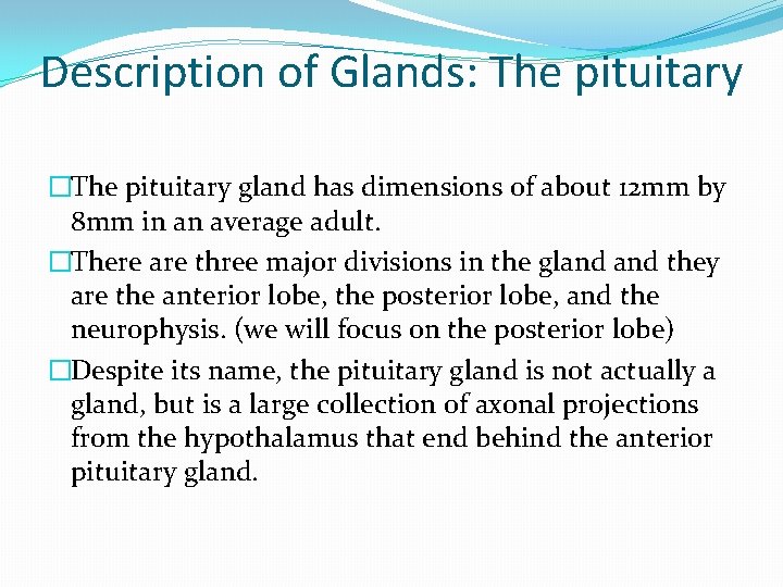 Description of Glands: The pituitary �The pituitary gland has dimensions of about 12 mm