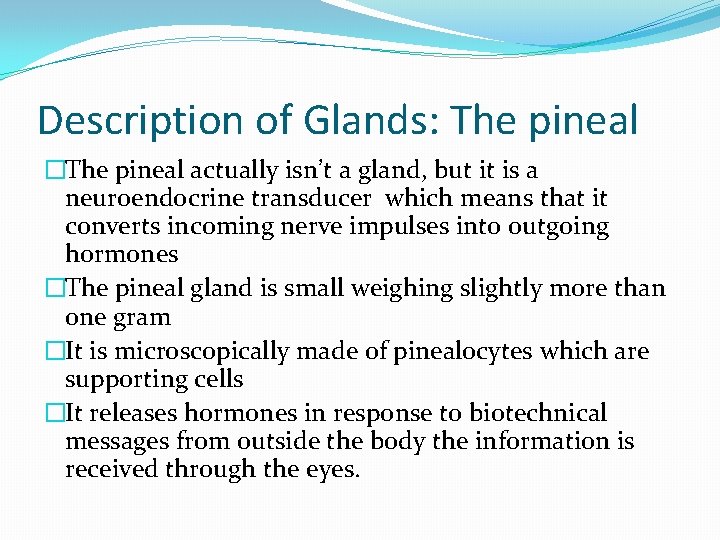 Description of Glands: The pineal �The pineal actually isn’t a gland, but it is