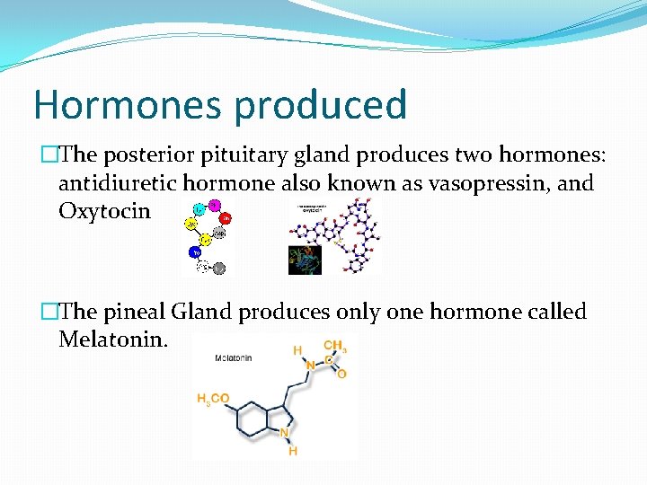 Hormones produced �The posterior pituitary gland produces two hormones: antidiuretic hormone also known as