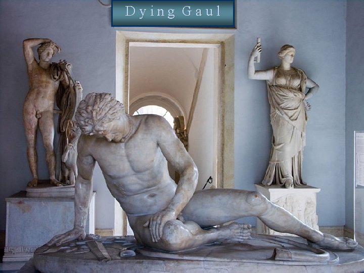 Dying Gaul 