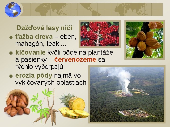 Dažďové lesy ničí ťažba dreva – eben, mahagón, teak. . . klčovanie kvôli pôde