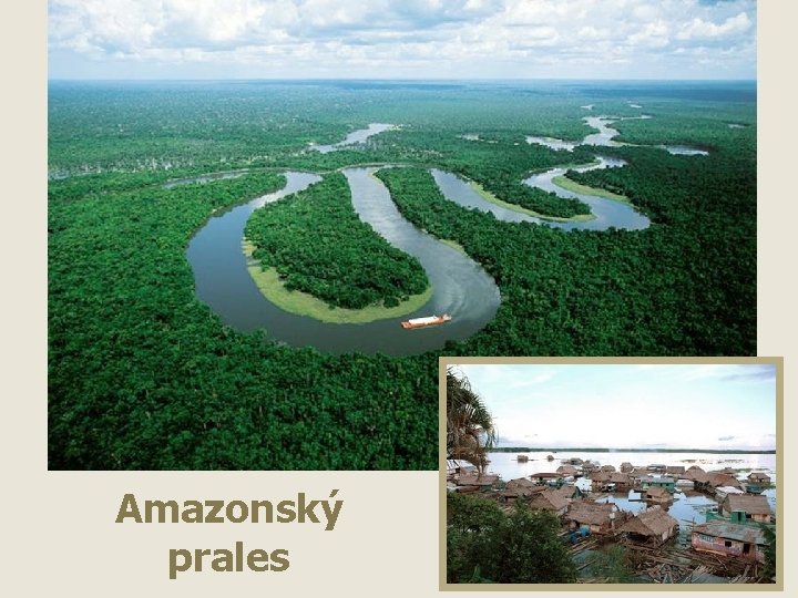 Amazonský prales 