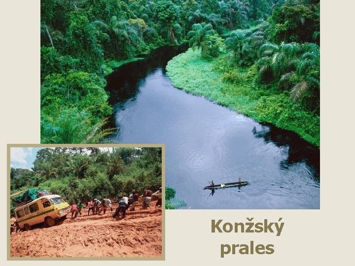 Konžský prales 