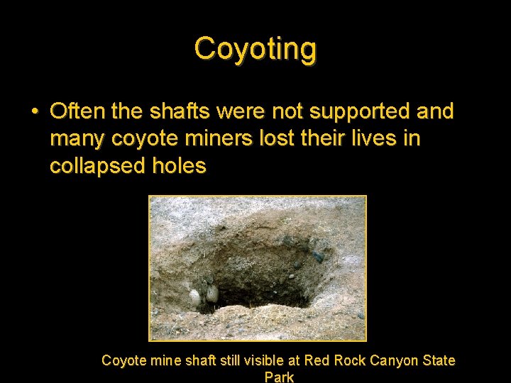 Coyoting • Often the shafts were not supported and many coyote miners lost their