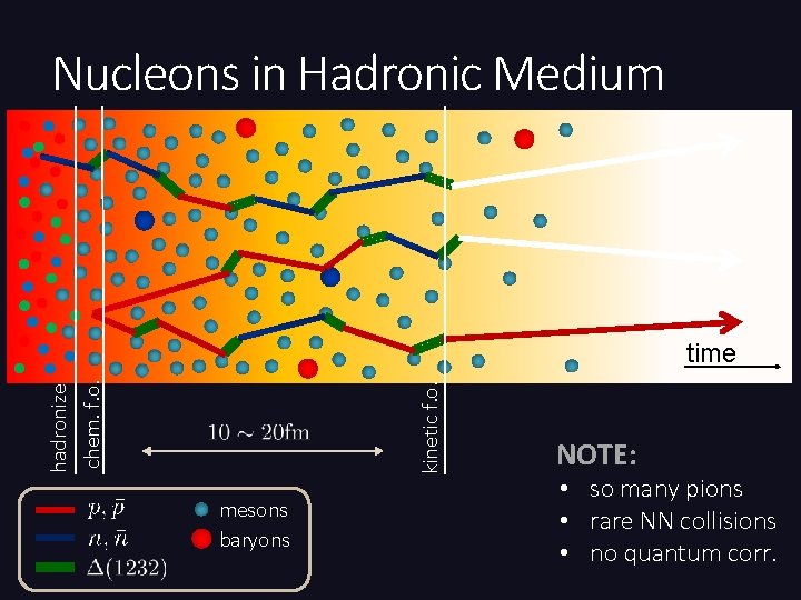 Nucleons in Hadronic Medium kinetic f. o. hadronize chem. f. o. time mesons baryons