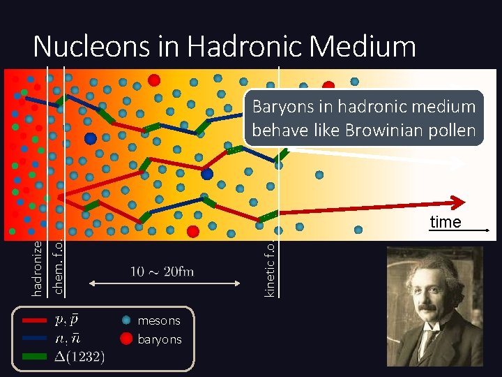 Nucleons in Hadronic Medium Baryons in hadronic medium behave like Browinian pollen kinetic f.