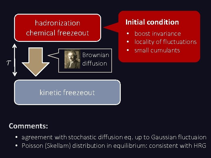 hadronization chemical freezeout Brownian diffusion Initial condition • boost invariance • locality of fluctuations
