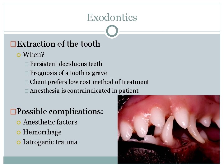 Exodontics �Extraction of the tooth When? � Persistent deciduous teeth � Prognosis of a