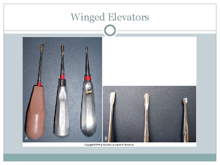 Winged Elevators 