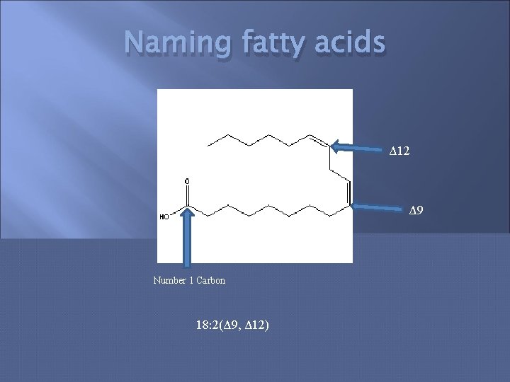 Naming fatty acids Δ 12 Δ 9 Number 1 Carbon 18: 2(Δ 9, Δ