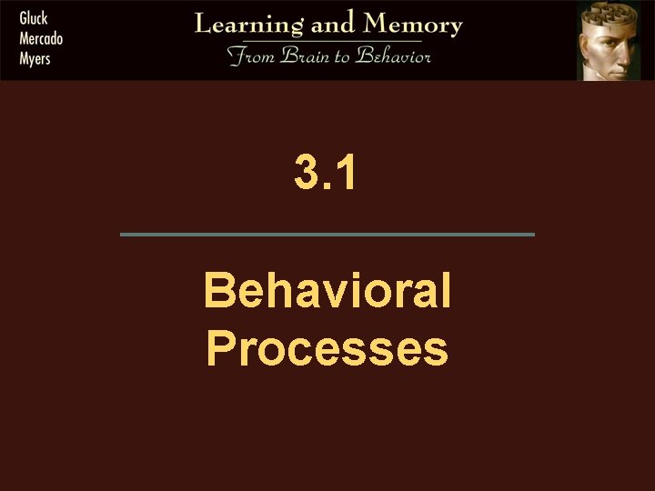 3. 1 Behavioral Processes 