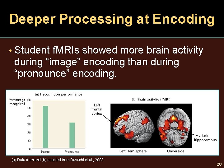 Deeper Processing at Encoding • Student f. MRIs showed more brain activity during “image”