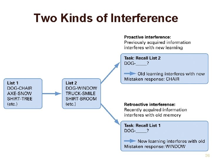 Two Kinds of Interference 36 