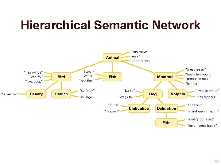 Hierarchical Semantic Network 46 