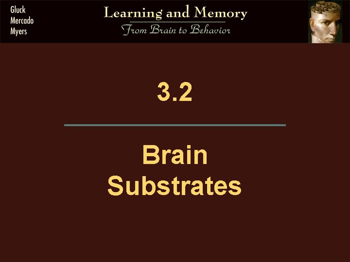 3. 2 Brain Substrates 
