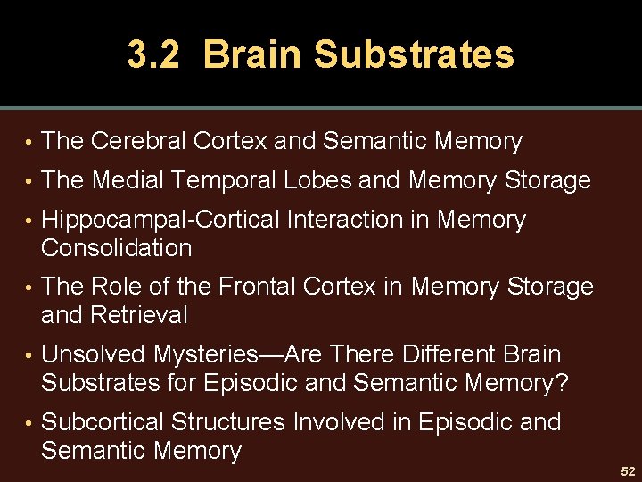 3. 2 Brain Substrates • The Cerebral Cortex and Semantic Memory • The Medial