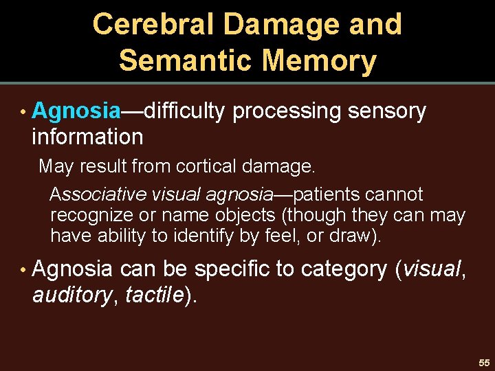 Cerebral Damage and Semantic Memory • Agnosia—difficulty processing sensory information May result from cortical