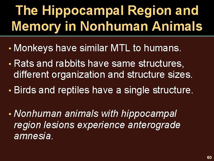 The Hippocampal Region and Memory in Nonhuman Animals • Monkeys have similar MTL to
