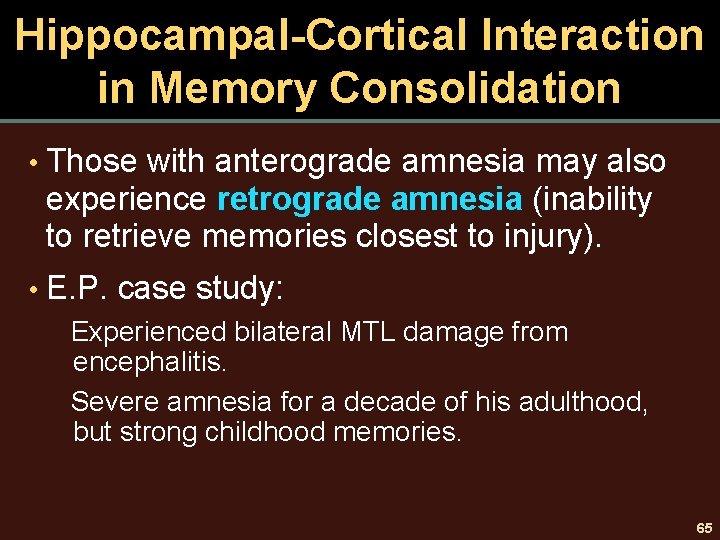 Hippocampal-Cortical Interaction in Memory Consolidation • Those with anterograde amnesia may also experience retrograde