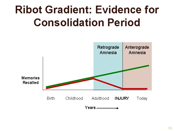 Ribot Gradient: Evidence for Consolidation Period Retrograde Amnesia Anterograde Amnesia Memories Recalled Birth Childhood