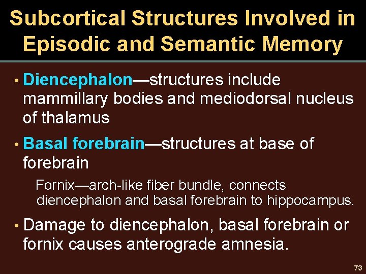 Subcortical Structures Involved in Episodic and Semantic Memory • Diencephalon—structures include mammillary bodies and