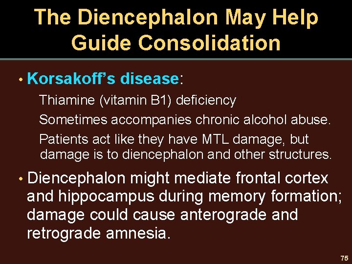 The Diencephalon May Help Guide Consolidation • Korsakoff’s disease: Thiamine (vitamin B 1) deficiency