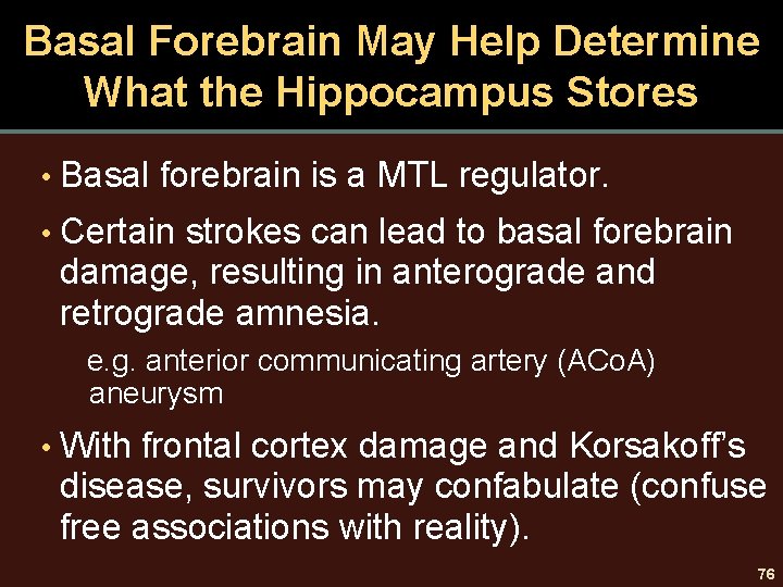 Basal Forebrain May Help Determine What the Hippocampus Stores • Basal forebrain is a