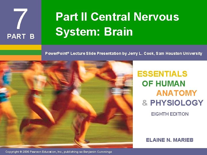 7 PART B Part II Central Nervous System: Brain Power. Point® Lecture Slide Presentation