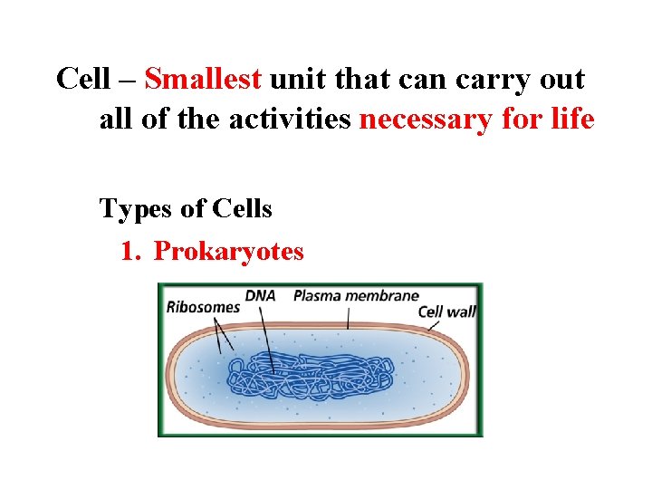 Cell – Smallest unit that can carry out all of the activities necessary for