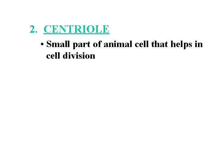 2. CENTRIOLE • Small part of animal cell that helps in cell division 