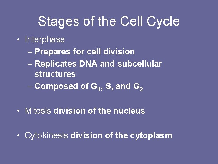Stages of the Cell Cycle • Interphase – Prepares for cell division – Replicates