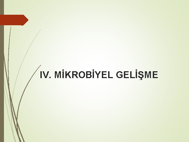 IV. MİKROBİYEL GELİŞME 