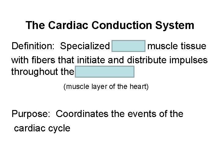 The Cardiac Conduction System Definition: Specialized cardiac muscle tissue with fibers that initiate and