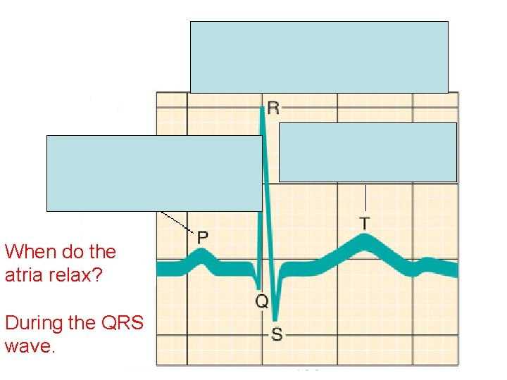When do the atria relax? During the QRS wave. 