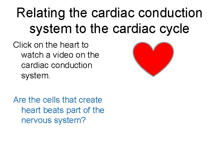 Relating the cardiac conduction system to the cardiac cycle Click on the heart to