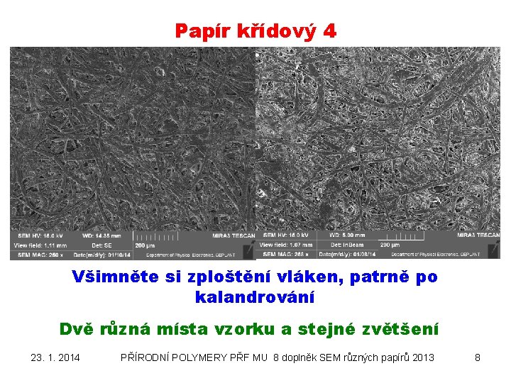 Papír křídový 4 Všimněte si zploštění vláken, patrně po kalandrování Dvě různá místa vzorku