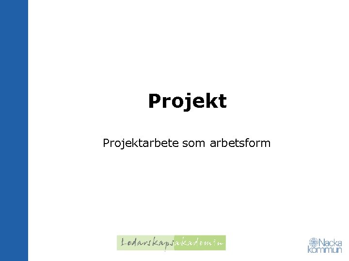 Projektarbete som arbetsform 