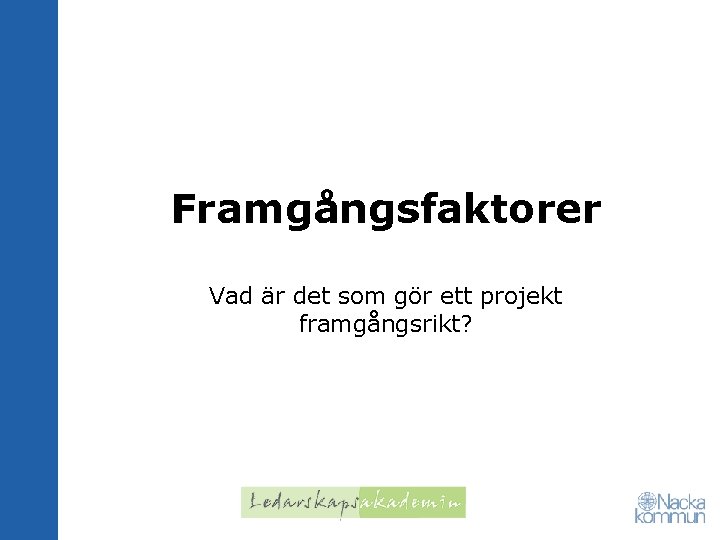 Framgångsfaktorer Vad är det som gör ett projekt framgångsrikt? 