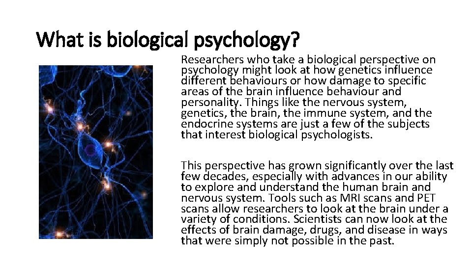 What is biological psychology? Researchers who take a biological perspective on psychology might look