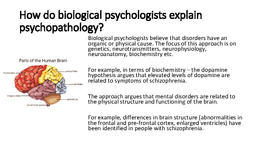 How do biological psychologists explain psychopathology? Biological psychologists believe that disorders have an organic