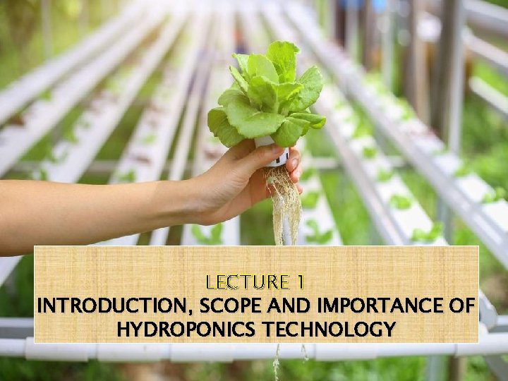 LECTURE 1 INTRODUCTION, SCOPE AND IMPORTANCE OF HYDROPONICS TECHNOLOGY 