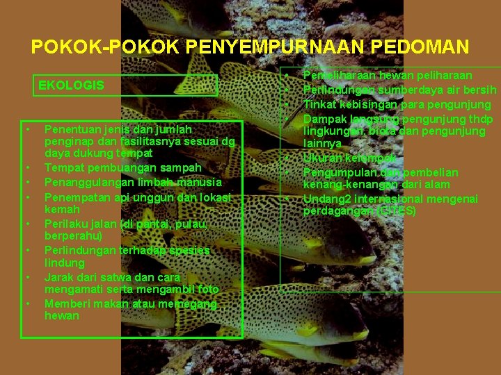 POKOK-POKOK PENYEMPURNAAN PEDOMAN EKOLOGIS • • Penentuan jenis dan jumlah penginap dan fasilitasnya sesuai