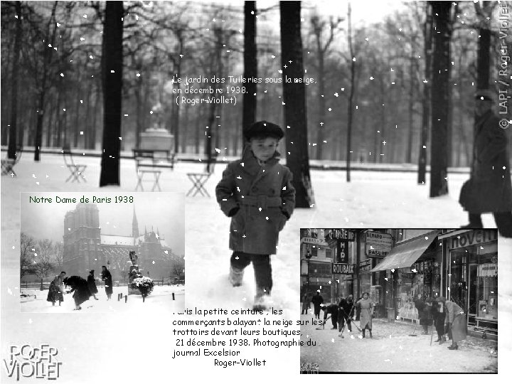 Le jardin des Tuileries sous la neige, en décembre 1938. ( Roger-Viollet) Notre Dame