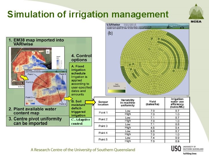 Simulation of irrigation management 