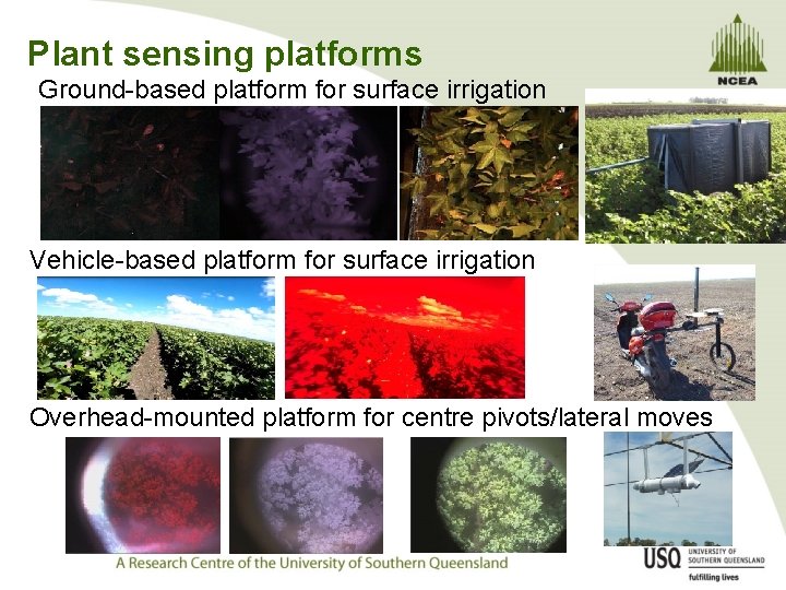 Plant sensing platforms Ground-based platform for surface irrigation Vehicle-based platform for surface irrigation Overhead-mounted