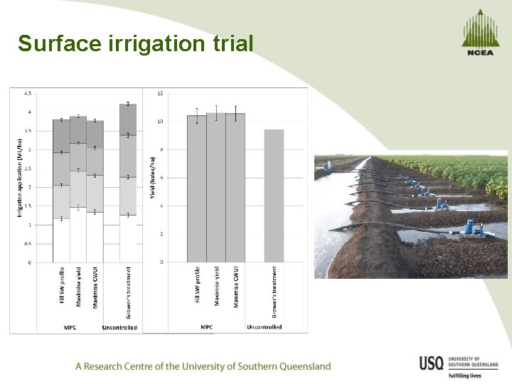 Surface irrigation trial 