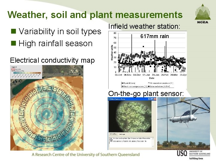 Weather, soil and plant measurements n Variability in soil types n High rainfall season