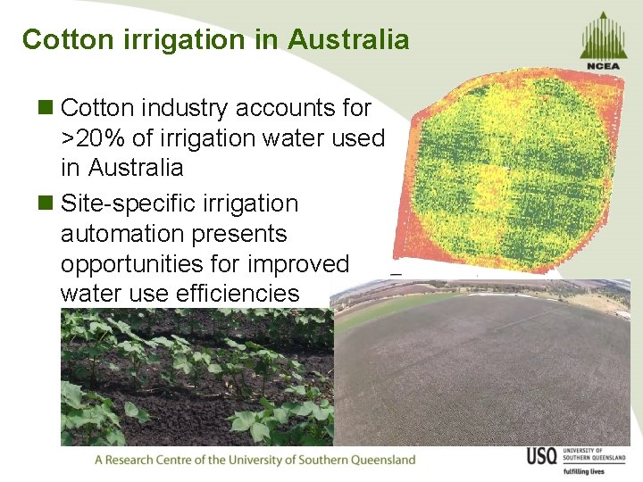 Cotton irrigation in Australia n Cotton industry accounts for >20% of irrigation water used