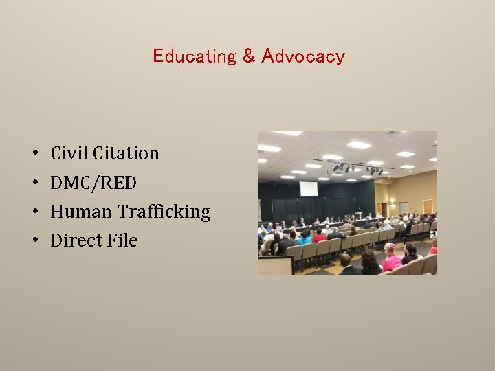 Educating & Advocacy • • Civil Citation DMC/RED Human Trafficking Direct File 