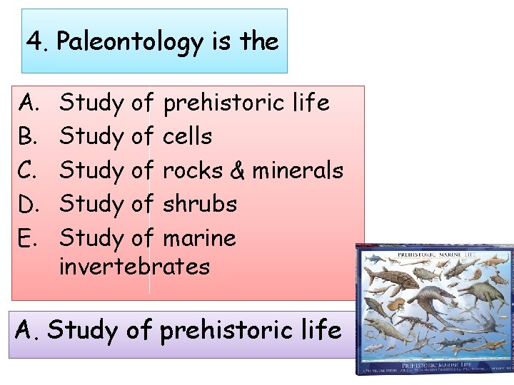 4. Paleontology is the A. B. C. D. E. Study of prehistoric life Study